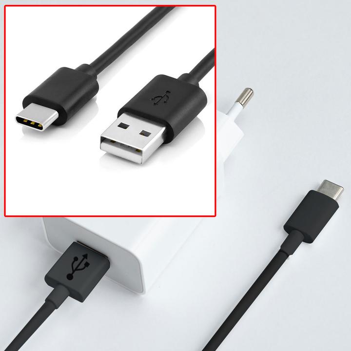 Image du produit Reekin Câble de charge USB-C Nintendo Switch (2 m, USB 2.0)