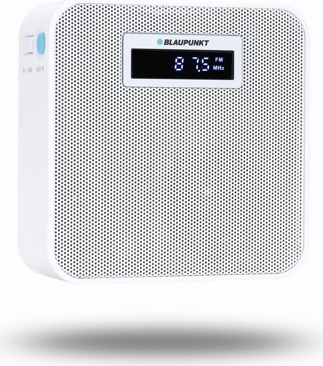 Actual product image Blaupunkt Prb 100