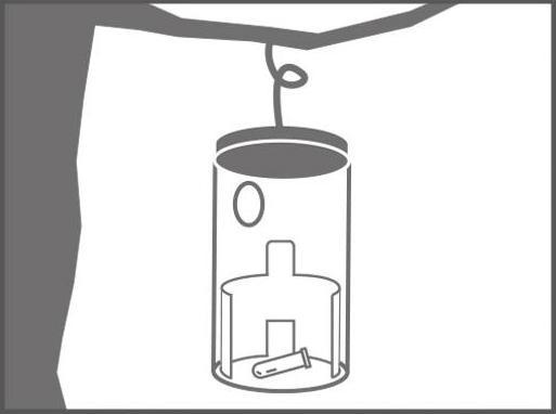 Produktbild Swissinno Buchsbaumzünsler-Falle inkl. 1x Pheromon