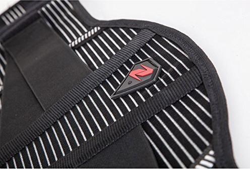 Produktbild Zandona Comfort Belt Pro (L)