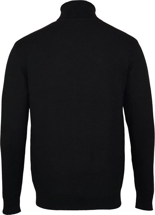 Actual product image U.S. Polo ASSN. Pullover Turtleneck Shirt Longsleeve Rollneck (XL)