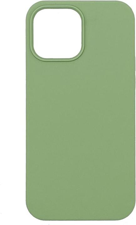 Produktbild Evelatus iPhone 12 Pro Max Premium Silicone Case (Apple iPhone 12 Pro Max)