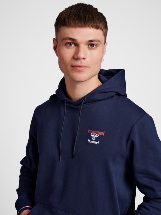 Actual product image hummel Ic Dayton Hoodie (L)