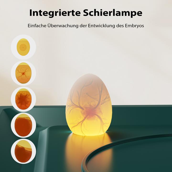 Produktbild Fudajo Vollautomatischer Flächenbrüter Brutmaschine 30 Eier Inkubator Hühner