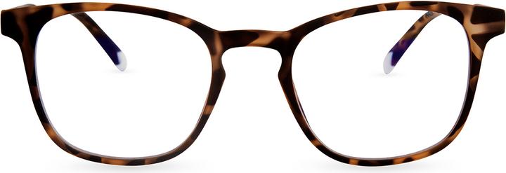Actual product image Barner Dalston Tortoise Computer Glasses