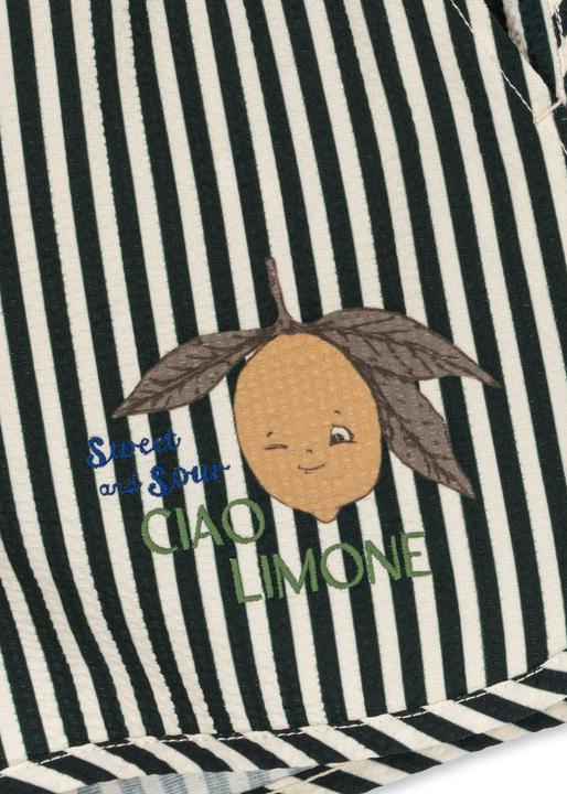 Actual product image Konges Slojd Asnou Badeshorts Scarab (86)