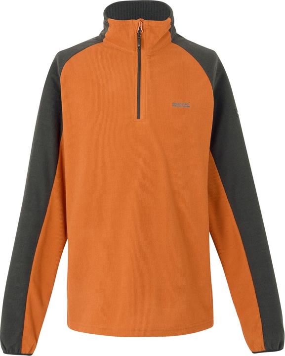Regatta Elson II Fleece Leicht