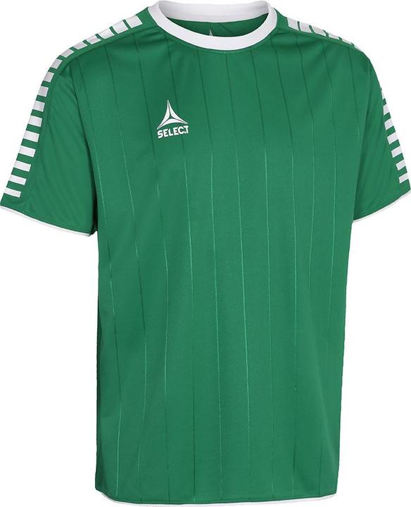 Select Argentina Trikot