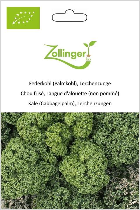 Produktbild Zollinger Bio Federkohl (Palmkohl), Lerchenzunge (Keimlinge)