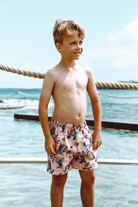 Bondi Joe Banksia