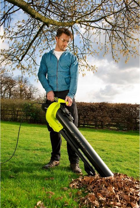 Actual product image Ryobi Rbv3000cesv (Electrical connection, Leaf blower)