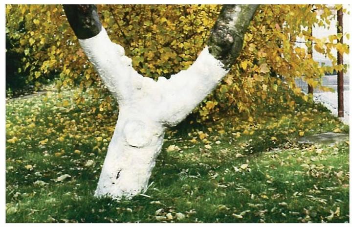 Produktbild Neudorff Bio-Baumanstrich