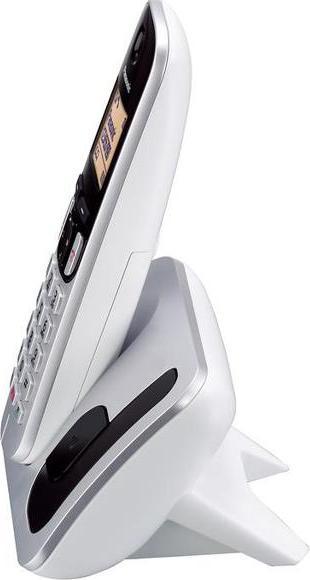 Image du produit Panasonic KX-TGC260JTS Telefono Cordless Digitale con Segreteria Telefonica, Vivavoce, Display Lumin