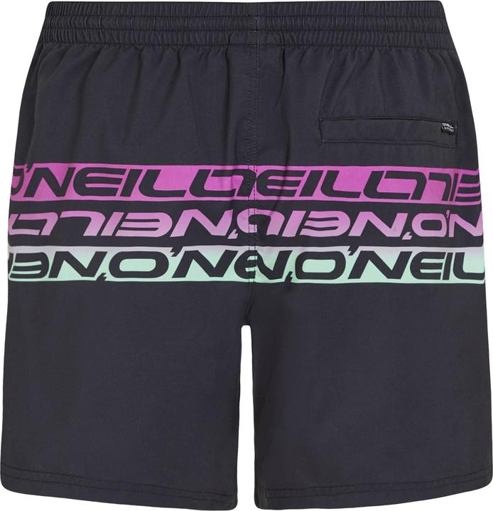 Actual product image O'Neill Cali Stripe 16" Swimshorts (L)