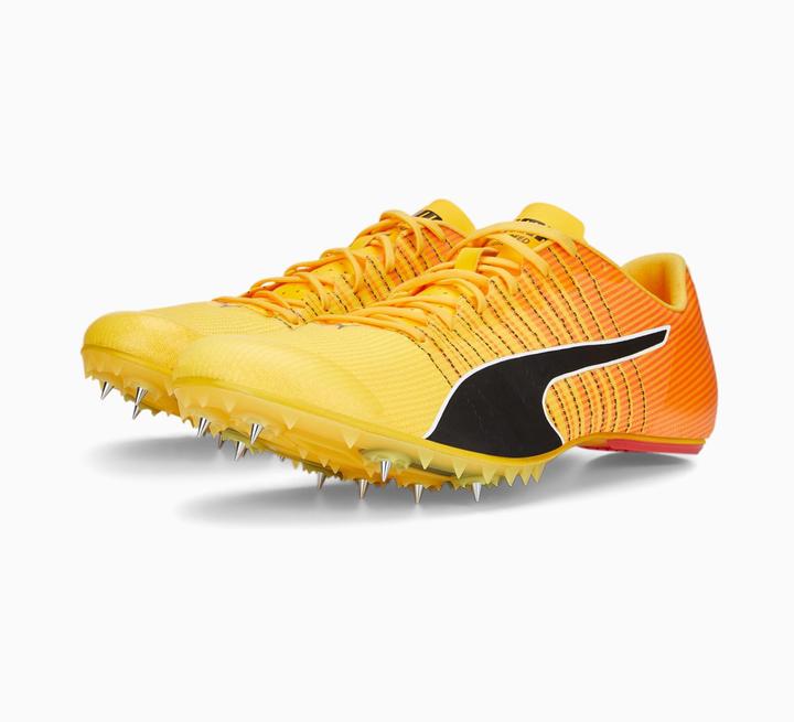 Image du produit Puma evoSPEED TOKYO FUTURE 4 (39)