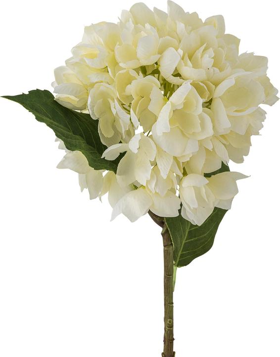 Produktbild Bloomingville Hydrangea (56 cm)