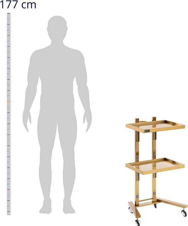 Produktbild Physa Kosmetikwagen Arbeitswagen Beistellwagen Salon-Trolley 2 Ablagen - 0 x 0 x 0 cm