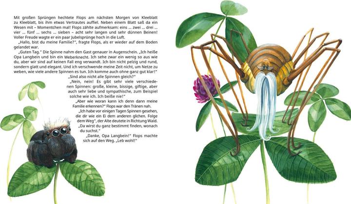 Produktbild FLOPS, die kleine Spinne (Deutsch, Christiane Nebel, 2019)