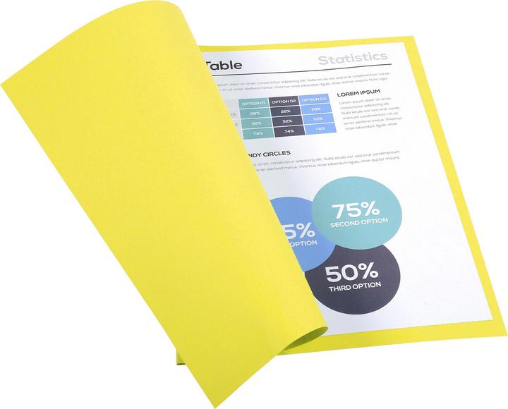 Produktbild Exacompta Sammelmappen - Aktendeckel (24 x 32 cm, 50 x)