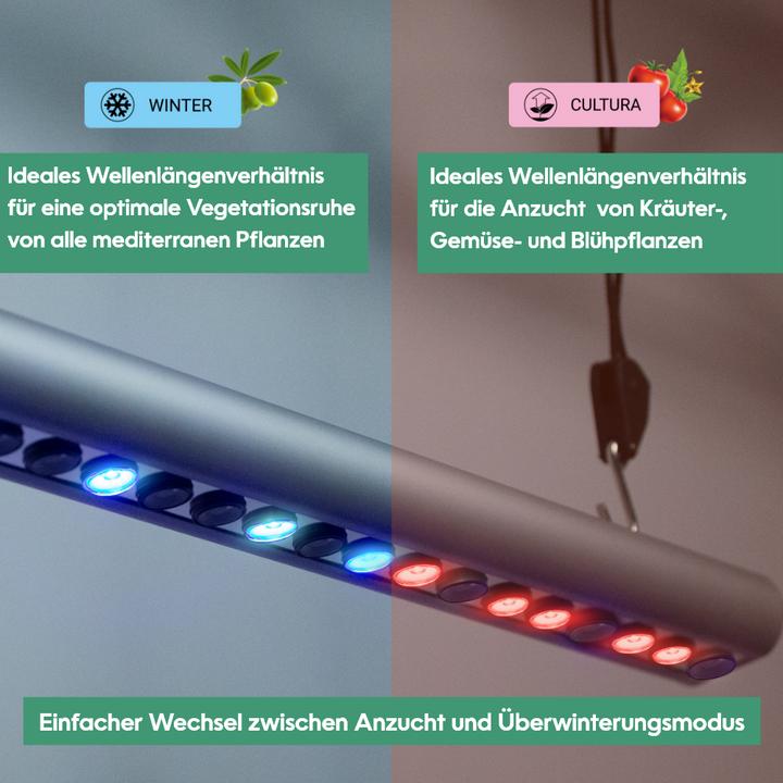 Actual product image Parus by Venso plant fitting GrowLight Quattro 30W, stimulation of photosynthesis and chlorophyll fo (LED, 245 V)