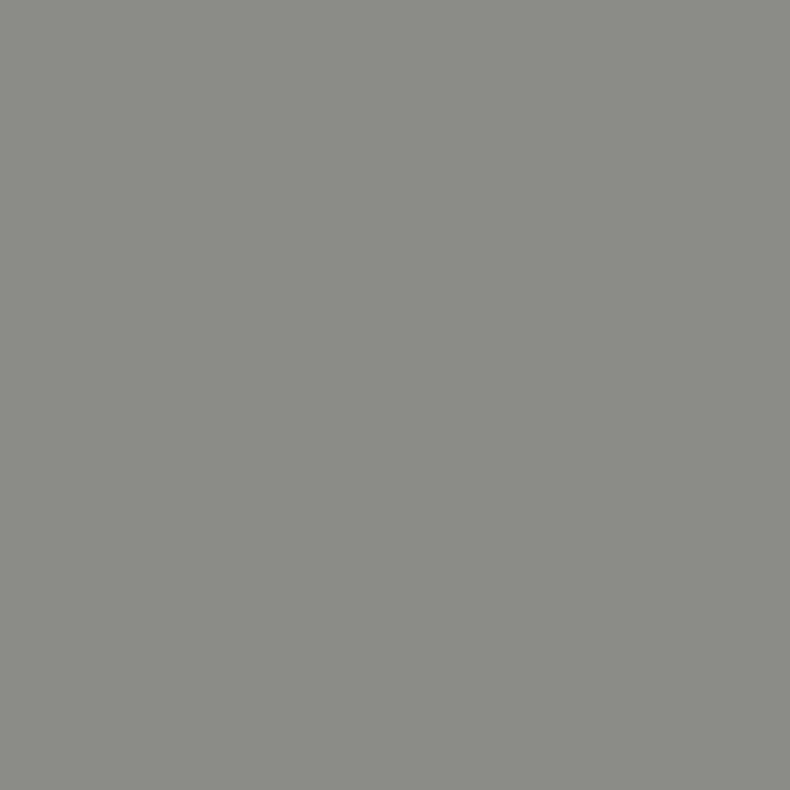 Immagine prodotto Cricut Pellicola da stiro Infusible Ink, 30,5 x 30,5 cm, 2 pezzi, Grigio