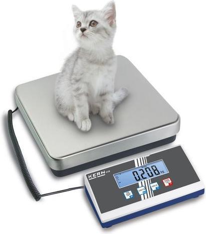 Actual product image Kern Platform scale 60kg / resolution 20 g, DKD/DAkkS-calibrated