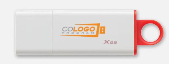 Produktbild Kingston DataTraveler G4 32GB Red CoLogo (32 GB, USB-C)