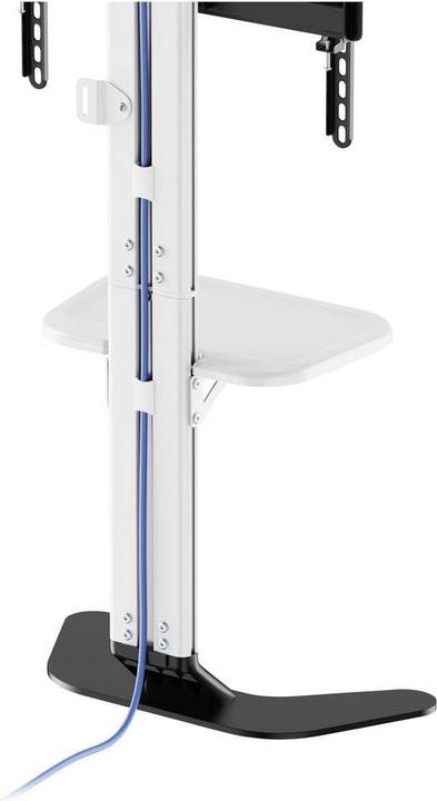 Produktbild SpeaKa Professional SP-TVS-600 TV-Standfuss Höhenverstellbar 94,0 cm (37") - 218 (86", 45 kg)