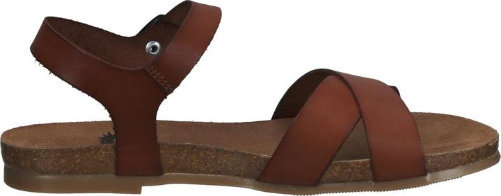 Actual product image Cosmos Comfort Sandals (36)