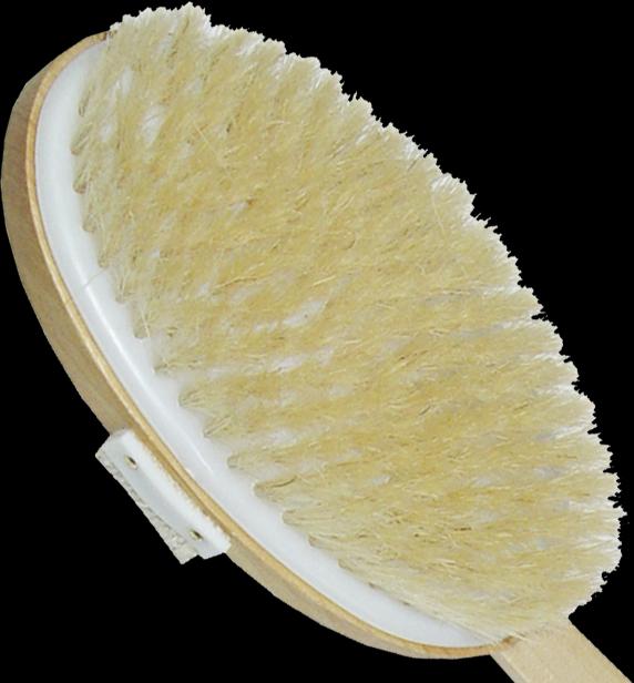 Actual product image Bath brush - wood, natural bristle, removable handle, length 42 cm