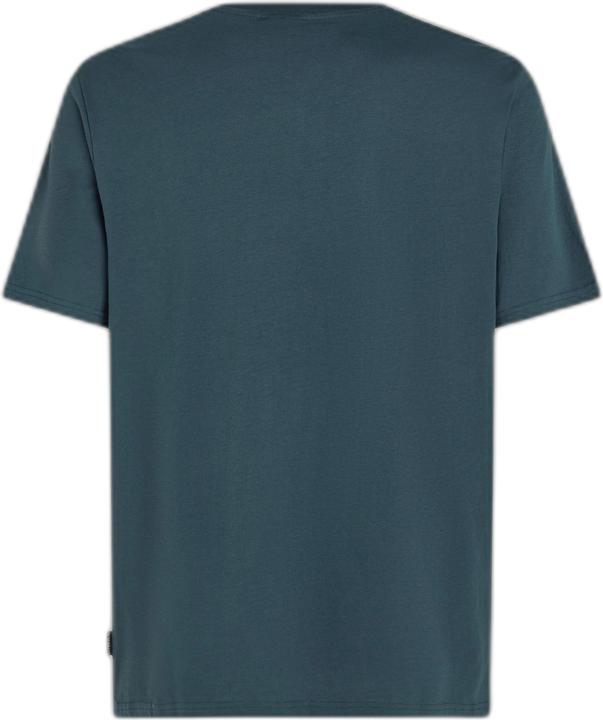 O'Neill t-shirt sall chest print (M)
