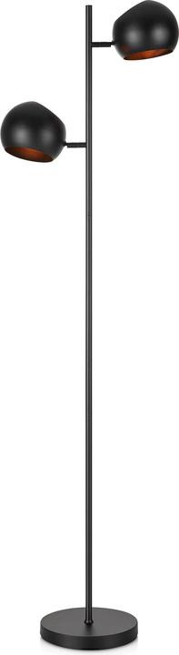 Image du produit Markslöjd Lampadaire Edgar, 2 x E14, max. 40W, noir (0 lm, E14)