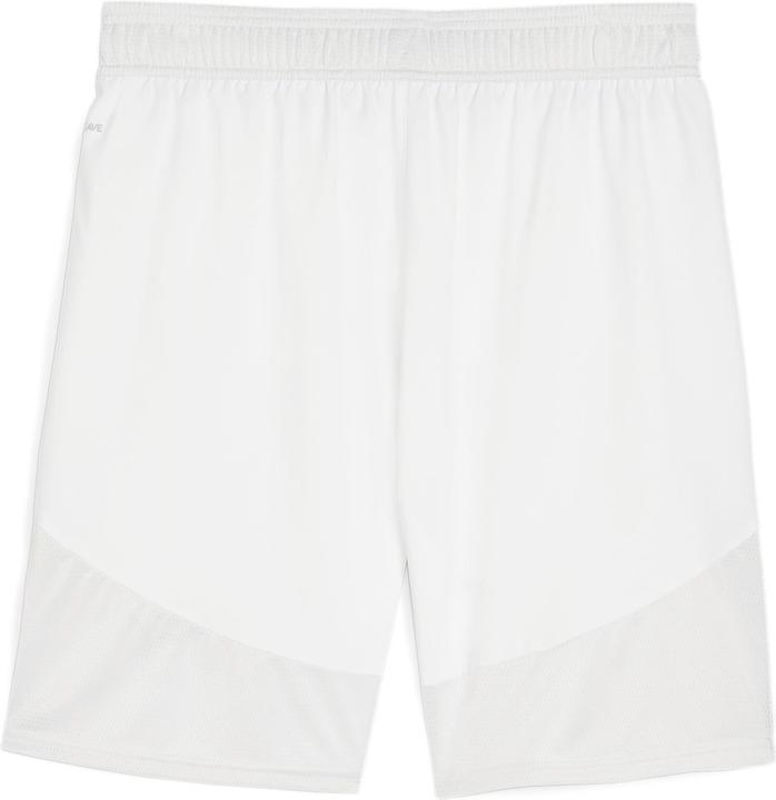 Actual product image Puma teamFINAL Shorts (M)