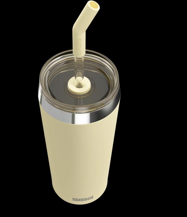 Image du produit Sigg Helia (0.60 l)