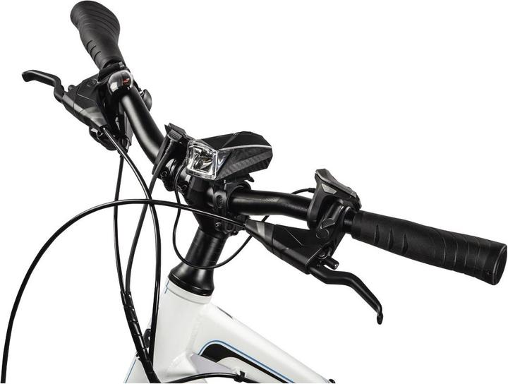 Produktbild Hama Profi (100 lm)