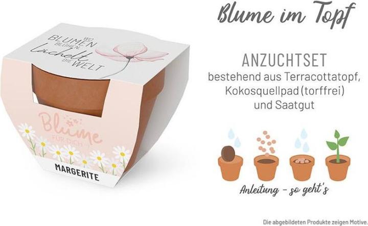 Image du produit La Vida Fleur FD D5,5H5 Fleur Lovely