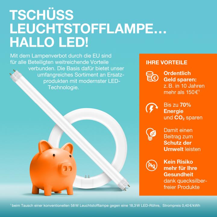 Produktbild Osram Led Tube (G5, 4 W, 380 lm, 1 x, F)