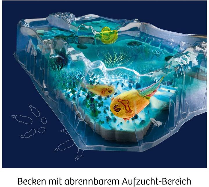 Produktbild Kosmos Fun Science -Triops züchten