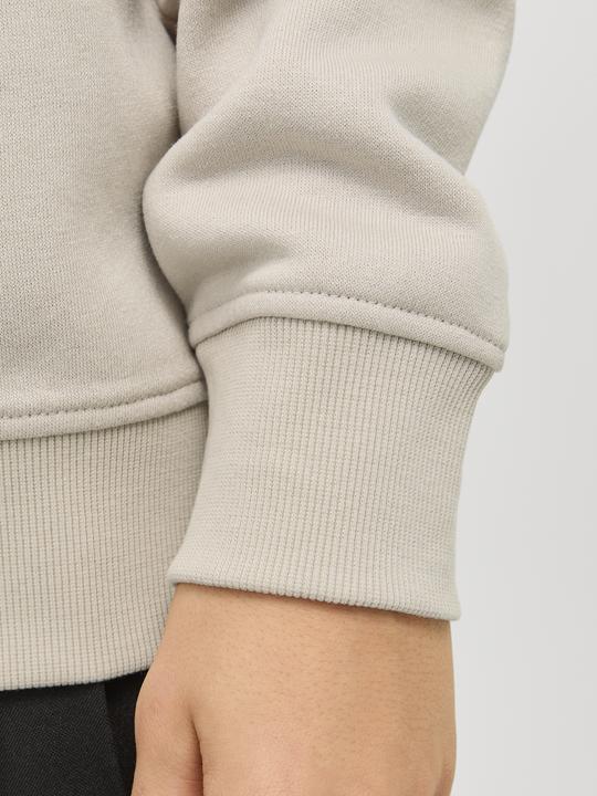 Immagine prodotto Jack & Jones Jjebradley Sweat Half Zip Noos Jnr (176)