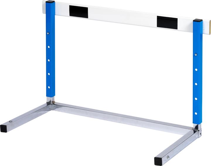 Actual product image Sport-Thieme Hurdle Magnetic (4000 g)