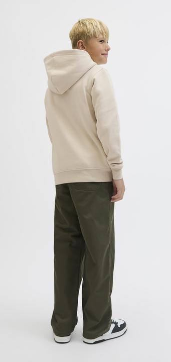 Actual product image Jack & Jones Jjesoho Sweat Hood Noos Jnr (164)