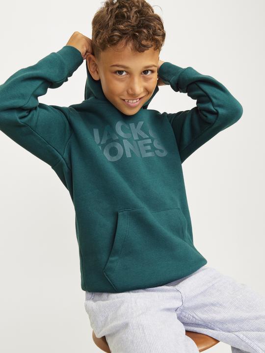 Produktbild Jack & Jones Jjecorp Logo Sweat Hood Noos Jnr (140)