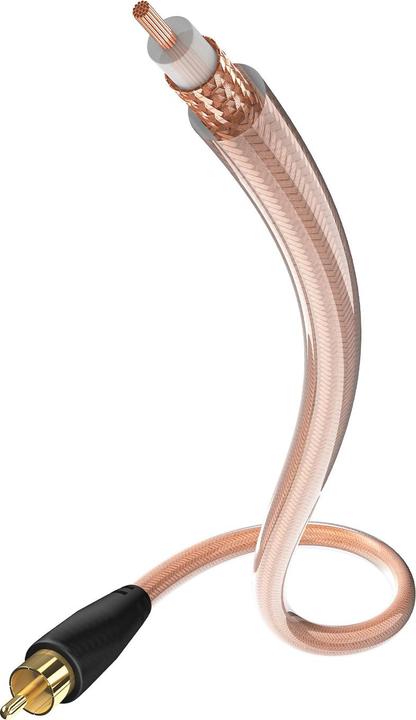 Actual product image Inakustik Star (12 m, Cinch)