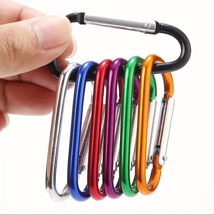 Actual product image Champ Carabiner key fob