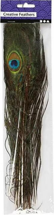 Actual product image Creativ Company peacock feathers