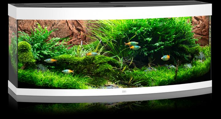 Image du produit Juwel Aquarium Aquarium Vision 450 (450 l)