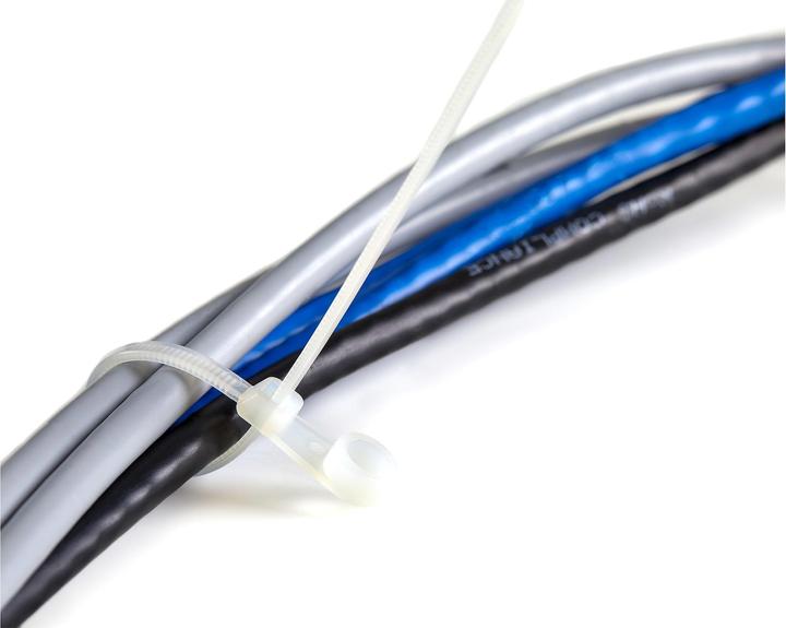 Image du produit StarTech 15cm(6") Cable Ties with Mounting Hole, 3mm(1/8") wide, 40mm(1-1/2") Bundle Dia. (Serre-câbles en plastique, 172 mm, 100 pcs)
