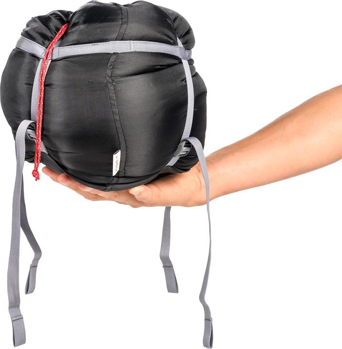 Actual product image Pajak Radical 8Z
