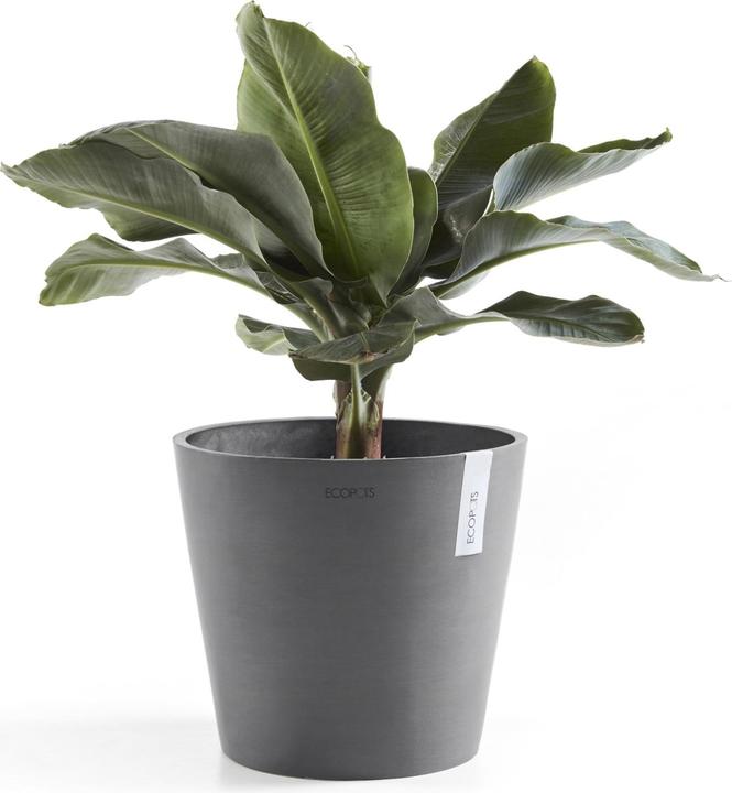 Image du produit Ecopots Amsterdam (30 cm)