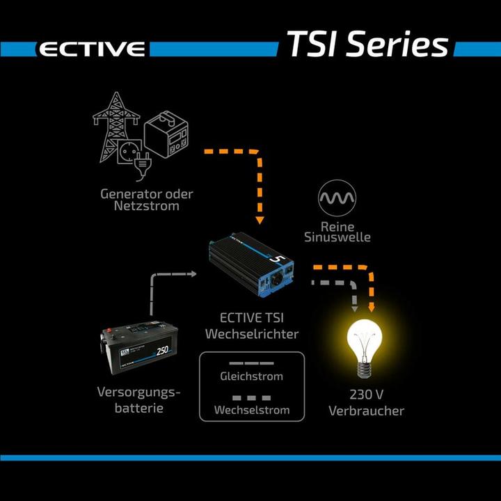 Actual product image Ective TSI302 3000W/12V Sine Wave Inverter with NVS